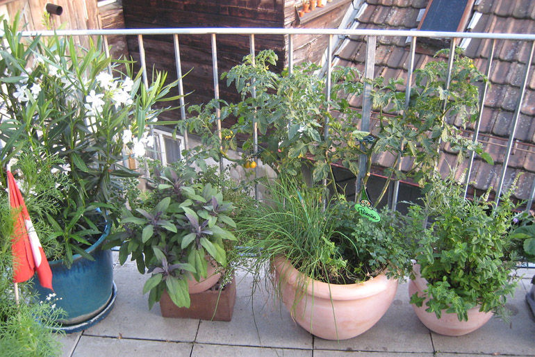 Az erkélyen fűszernövényeket is nevelhetünk.