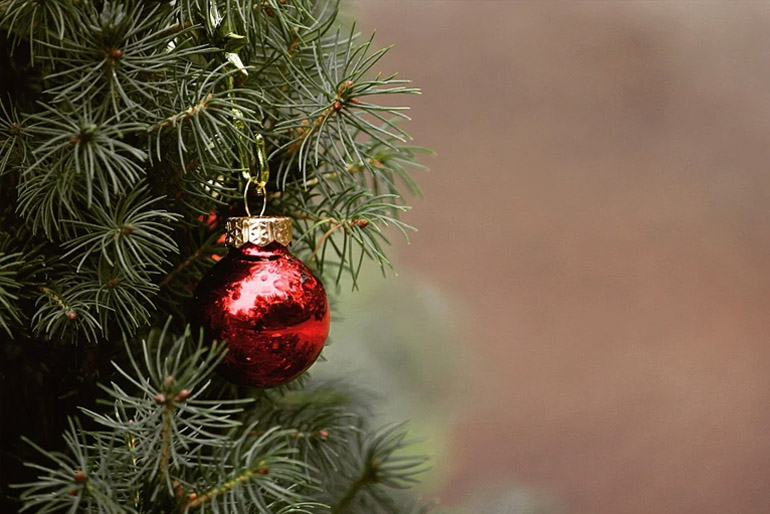 A karácsony központi eleme a karácsonyfa.