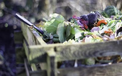 Komposztálás – kertművelés a természet erejével