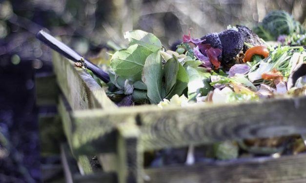 Komposztálás – kertművelés a természet erejével