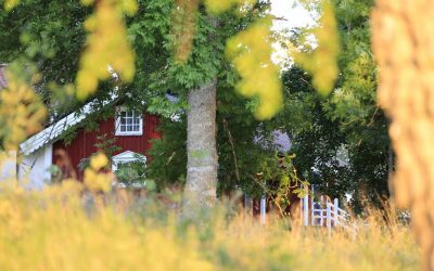 Otthonos, kényelmes, ötletes – a skandináv ház