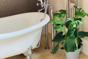 Fürdőszoba 2023-ban: sokan párakedvelő növényeket helyeznek el a helyiségben.